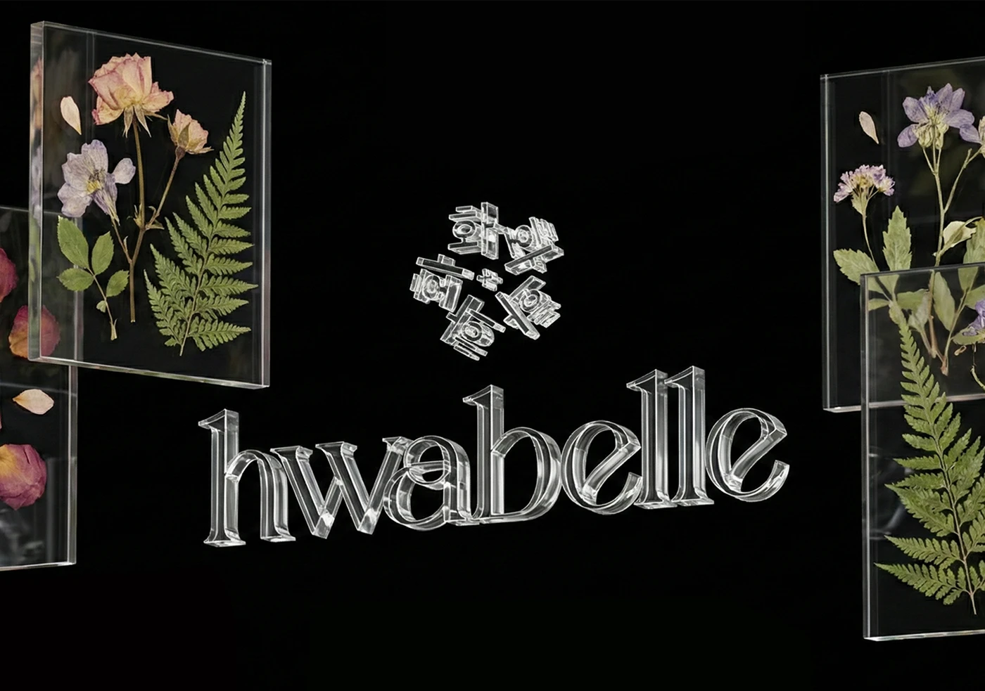 hwabelle - 2